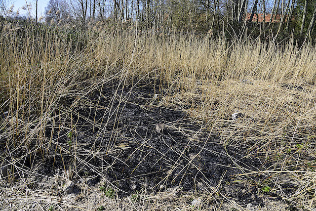 2021/53/20210330-15u34 GB 002 Buitenbrand Rijstvogelstraat.jpg